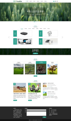 武漢鈦聯(lián)信息技術(shù)官網(wǎng)設(shè)計(jì)定稿 構(gòu)建專業(yè)高效的企業(yè)官網(wǎng)平臺(tái)