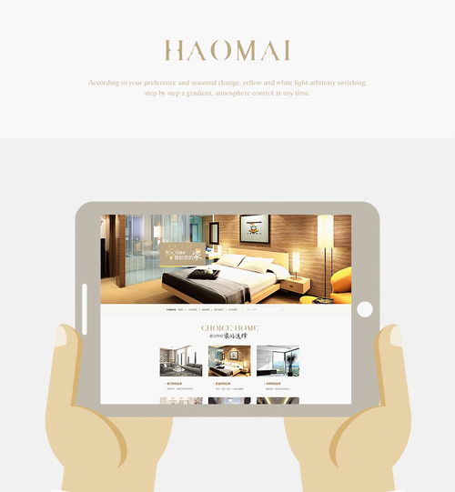 探索企業(yè)官網(wǎng)與設計平臺 數(shù)碼產(chǎn)品銷售的新視角——以zcool平臺用戶ll3050532為例